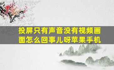 投屏只有声音没有视频画面怎么回事儿呀苹果手机