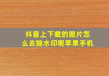 抖音上下载的图片怎么去除水印呢苹果手机