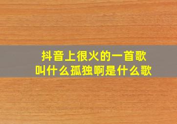 抖音上很火的一首歌叫什么孤独啊是什么歌