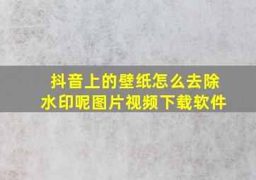 抖音上的壁纸怎么去除水印呢图片视频下载软件