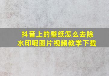 抖音上的壁纸怎么去除水印呢图片视频教学下载