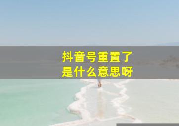 抖音号重置了是什么意思呀