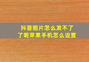 抖音图片怎么发不了了呢苹果手机怎么设置