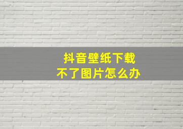 抖音壁纸下载不了图片怎么办