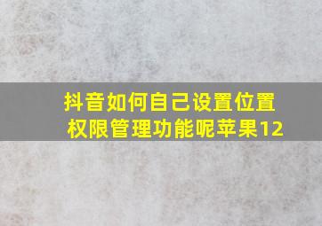 抖音如何自己设置位置权限管理功能呢苹果12