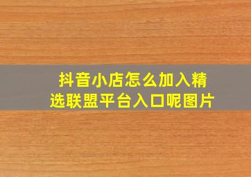 抖音小店怎么加入精选联盟平台入口呢图片