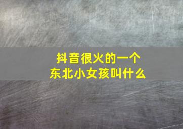 抖音很火的一个东北小女孩叫什么