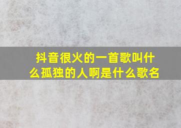 抖音很火的一首歌叫什么孤独的人啊是什么歌名