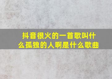 抖音很火的一首歌叫什么孤独的人啊是什么歌曲