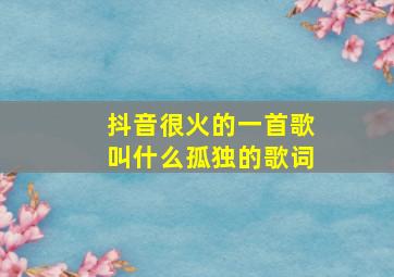 抖音很火的一首歌叫什么孤独的歌词