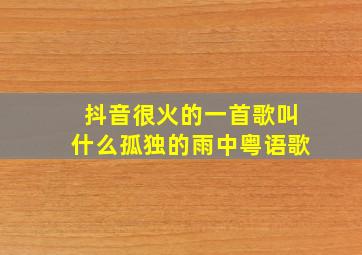 抖音很火的一首歌叫什么孤独的雨中粤语歌