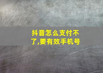 抖音怎么支付不了,要有效手机号