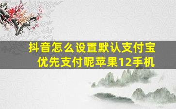 抖音怎么设置默认支付宝优先支付呢苹果12手机