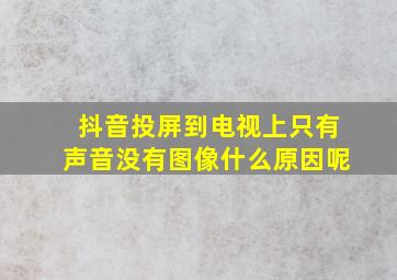 抖音投屏到电视上只有声音没有图像什么原因呢