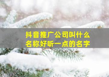 抖音推广公司叫什么名称好听一点的名字