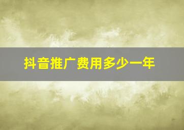 抖音推广费用多少一年