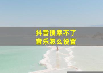 抖音搜索不了音乐怎么设置