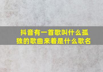 抖音有一首歌叫什么孤独的歌曲来着是什么歌名