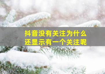 抖音没有关注为什么还显示有一个关注呢