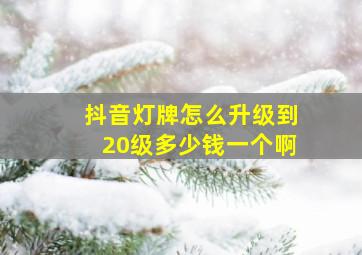 抖音灯牌怎么升级到20级多少钱一个啊