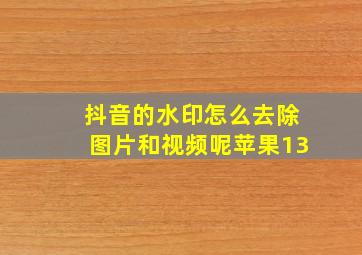 抖音的水印怎么去除图片和视频呢苹果13