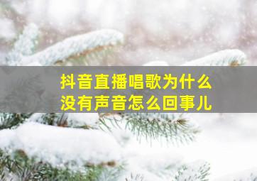 抖音直播唱歌为什么没有声音怎么回事儿