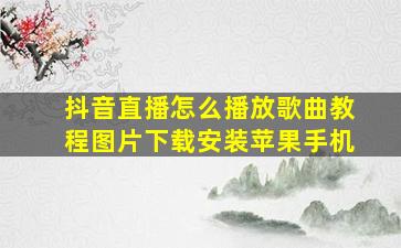 抖音直播怎么播放歌曲教程图片下载安装苹果手机