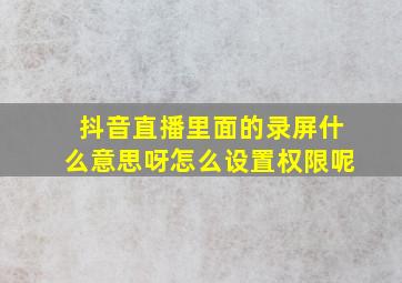 抖音直播里面的录屏什么意思呀怎么设置权限呢