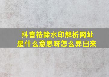 抖音祛除水印解析网址是什么意思呀怎么弄出来