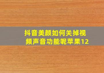 抖音美颜如何关掉视频声音功能呢苹果12