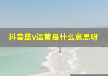 抖音蓝v运营是什么意思呀