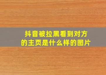 抖音被拉黑看到对方的主页是什么样的图片