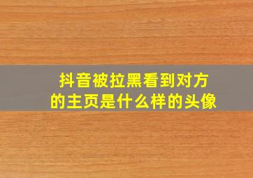 抖音被拉黑看到对方的主页是什么样的头像