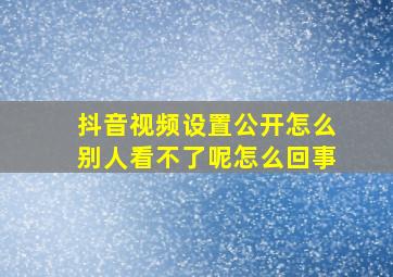 抖音视频设置公开怎么别人看不了呢怎么回事