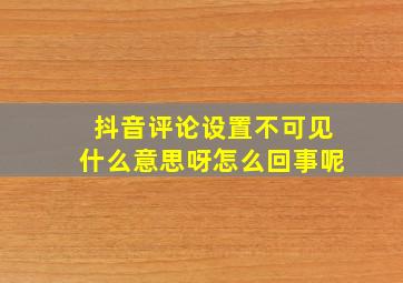 抖音评论设置不可见什么意思呀怎么回事呢