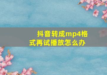 抖音转成mp4格式再试播放怎么办