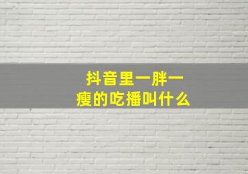 抖音里一胖一瘦的吃播叫什么