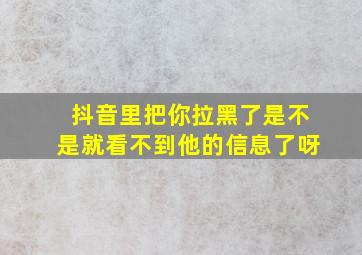 抖音里把你拉黑了是不是就看不到他的信息了呀