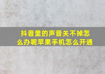 抖音里的声音关不掉怎么办呢苹果手机怎么开通