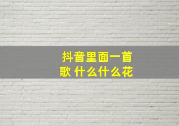 抖音里面一首歌 什么什么花