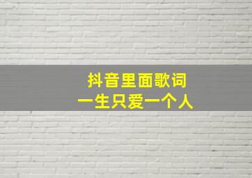 抖音里面歌词一生只爱一个人