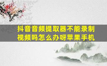 抖音音频提取器不能录制视频吗怎么办呀苹果手机