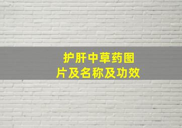 护肝中草药图片及名称及功效