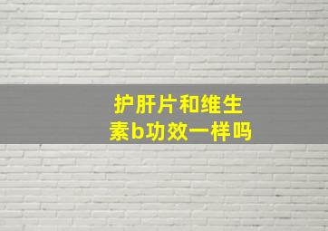 护肝片和维生素b功效一样吗