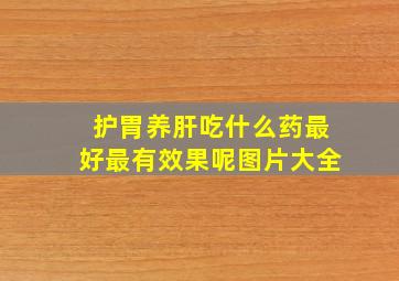 护胃养肝吃什么药最好最有效果呢图片大全