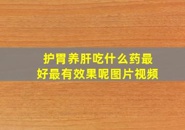 护胃养肝吃什么药最好最有效果呢图片视频