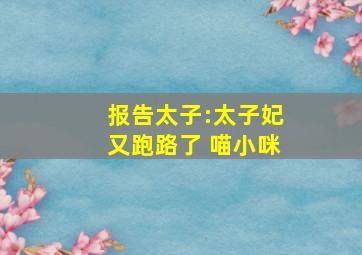 报告太子:太子妃又跑路了 喵小咪