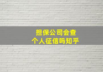 担保公司会查个人征信吗知乎