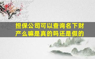 担保公司可以查询名下财产么嘛是真的吗还是假的