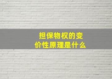 担保物权的变价性原理是什么